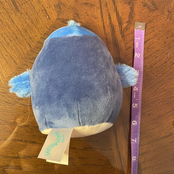 "Babs" - Bluejay - Picture 2 of 2